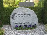 David Hansen.jpg
